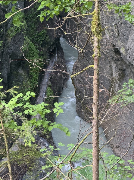 IMG_5437.jpeg